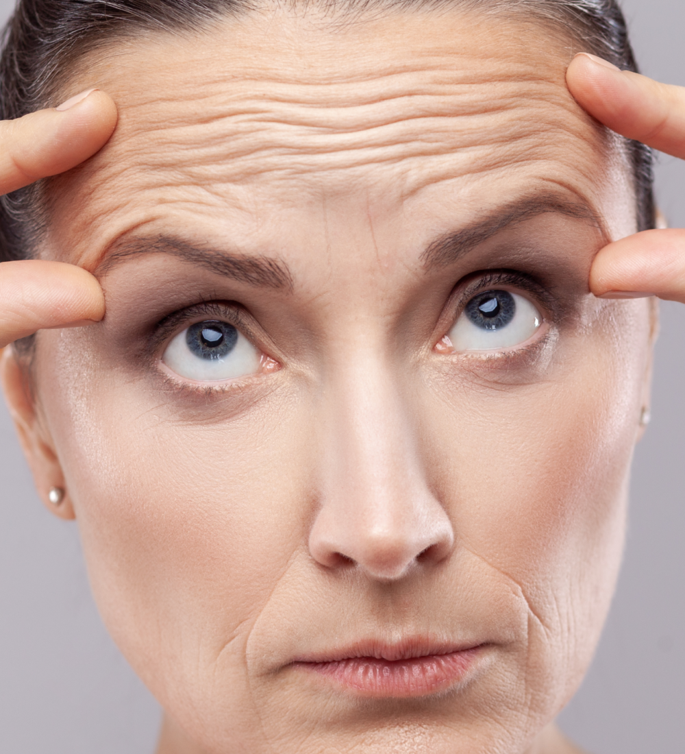 230218452_365252748346368_3499521829601109180_n 1 (1)