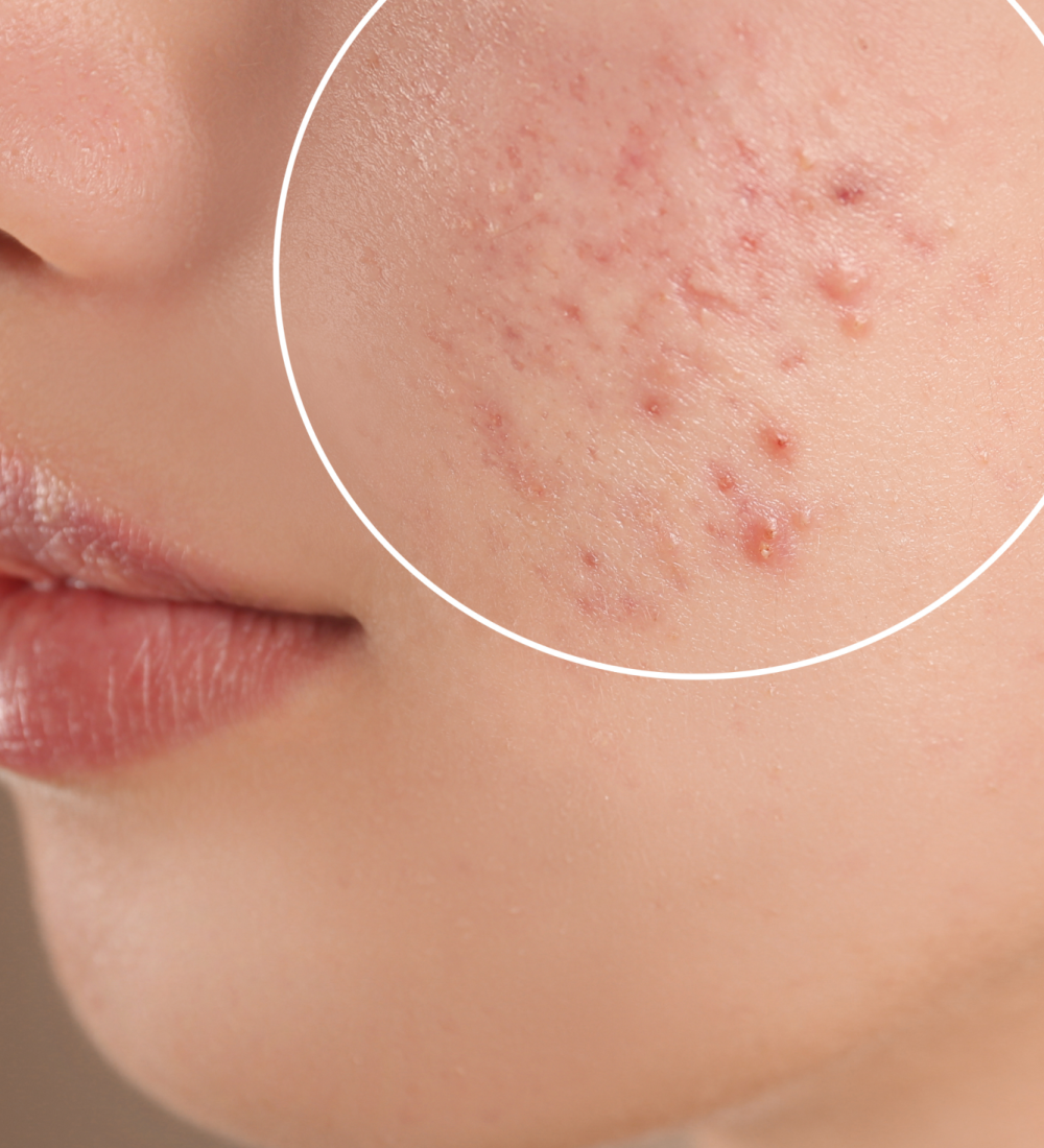 230218452_365252748346368_3499521829601109180_n 1 (2)